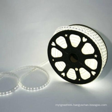 100M RGB 220V Led Strip 5050 Flexible Waterproof Warm White LED Strip Light waterproof with 220 v power adapter(plug)